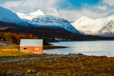 Troms County 'de Sonbahar - Norveç