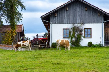 Bavyera 'da tarım arazisi - Almanya