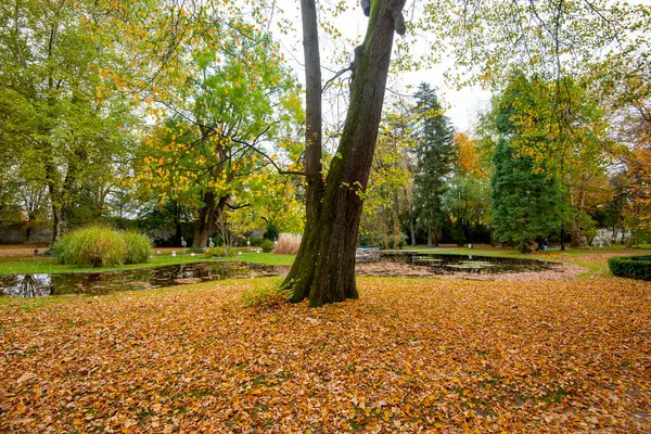 Innsbruck 'taki Hofgarten - Avusturya