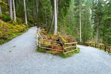 Yüksek Tauern Ulusal Parkı 'nda yürüyüş patikası - Avusturya
