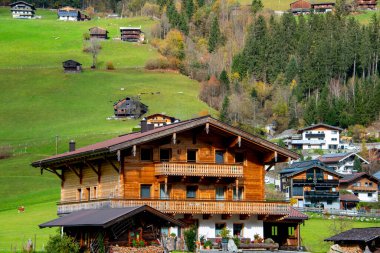 Wald im Pinzgau 'daki Konut Evi - Avusturya