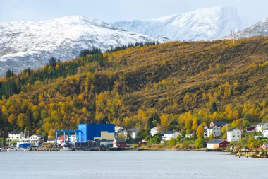 Troms County 'deki Botnhamn Village - Norveç