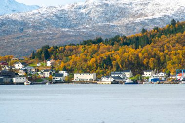 Troms County 'deki Botnhamn Village - Norveç