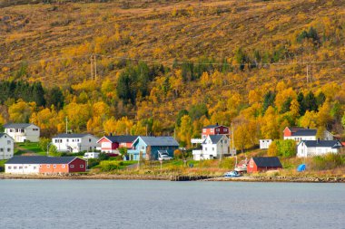 Troms County 'deki Botnhamn Village - Norveç