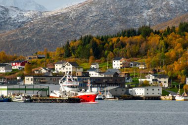 Troms County 'deki Botnhamn Village - Norveç