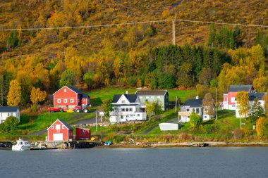 Troms County 'deki Botnhamn Village - Norveç