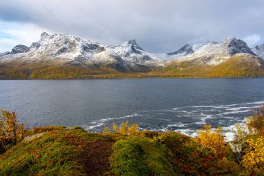 Senja Adası 'ndaki Ornfjord Norveç