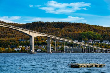 Troms County 'deki Gisund Köprüsü - Norveç