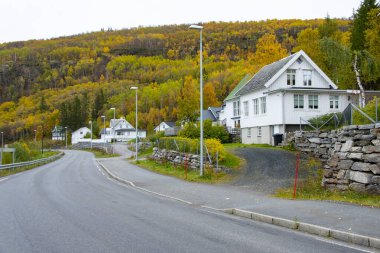 İlçe Yolu 84 - Norveç