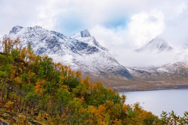 Senja Adası 'nda Sonbahar - Norveç