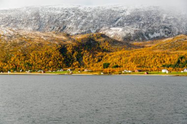Troms County, Norveç 'teki Botnhamn Village' ın kıyısında.