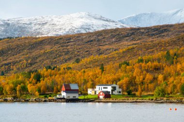 Troms County, Norveç 'teki Botnhamn Village' ın kıyısında.