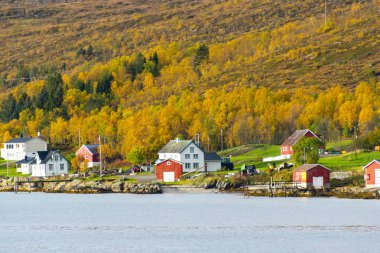 Troms County, Norveç 'teki Botnhamn Village' ın kıyısında.