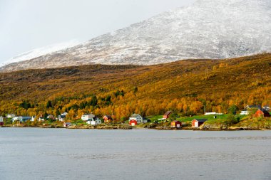 Troms County, Norveç 'teki Botnhamn Village' ın kıyısında.