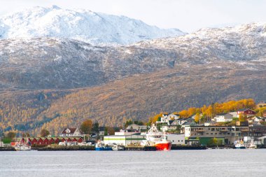 Troms County, Norveç 'teki Botnhamn Village' ın kıyısında.
