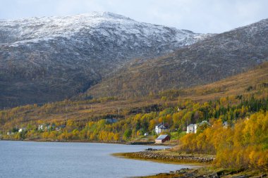 Troms County, Norveç 'teki Botnhamn Village' ın kıyısında.