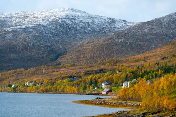 Troms County, Norveç 'teki Botnhamn Village' ın kıyısında.