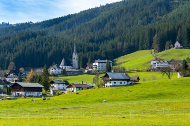 Yukarı Avusturya 'daki Gosau Kasabası