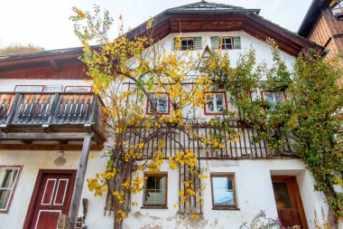 Hallstatt 'teki Konut Binası - Avusturya