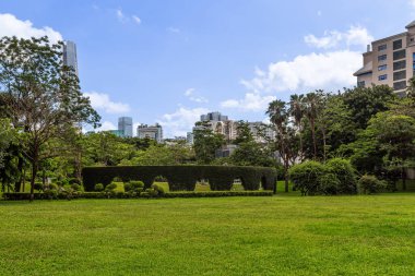 Çin 'in Shenzhen kentindeki bir parkta 18.07.2024' e bakan bir çayır.