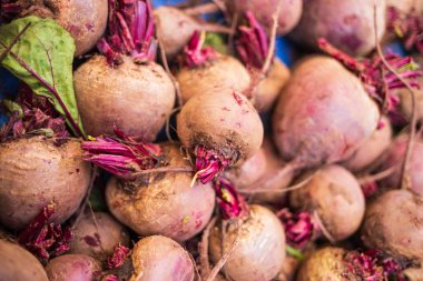 fresh red and purple radish