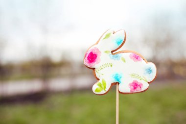 Çimlerin üzerinde renkli paskalya yumurtaları