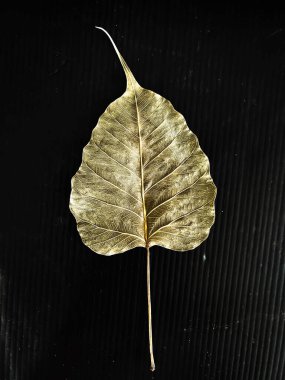 Kurumuş Bodhi yaprağının arkaplanda kahverengi çizgi dokusu yüzeyi olan soyut sanat tasarımı arka planı