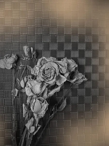 干枯的玫瑰涂上了黑色的发黑的背景 复古风格和艺术风格 周围的光线模糊不清 — 图库照片