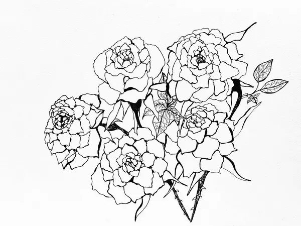 Five blooming roses hand drawn with black ink,on paper,artwork handmade design