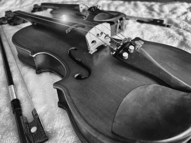 Tahtadan yapılmış keman, akustik enstrümanın ön tarafını göster. Lens efekti, siyah ve beyaz ton.
