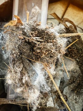 Yerleri süpüren toz parçacıkları ve kürk kalıntıları, çöpte kirli ve sağlıksız, bulanık ışık.