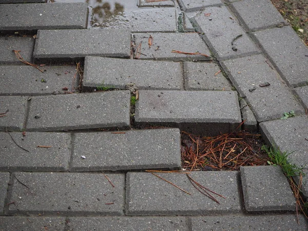 Makro Pęknięty Beton Ścieżka Cegła Powierzchnia Tło Zbliżenie Abstrakcyjne Pęknięty — Zdjęcie stockowe