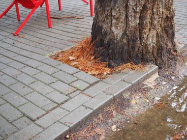 Sonbahar kaldırımında su birikintileri ve yerde sarı yapraklarla durgun bir tuğla. Sonbahar konsepti. HD resim