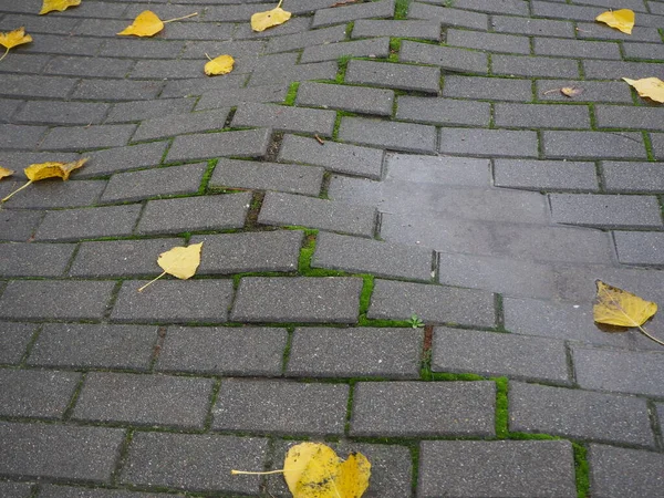 Pothole Autumn Sidewalk Puddles Water Yellow Leaves Ground Autumn Concept — Stock Photo, Image