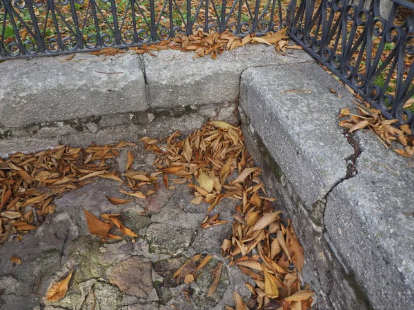 秋天的忧伤 田园诗般的画面 一个孤独的喷泉 地上长满了褐色的叶子 悲伤和忧郁的概念 Hd图像 — 图库照片