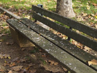 park bench with pigeon shit. Concept of lack of hygiene hd image