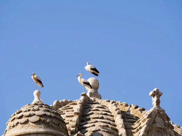 stock image storks in a European cathedral. Travel concept and biology hd image