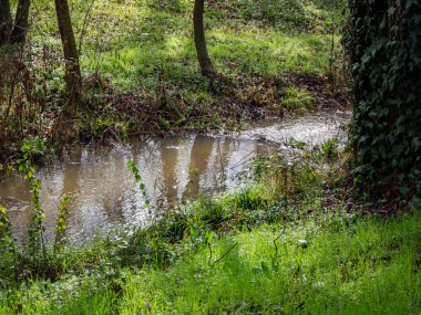 Doğadaki küçük nehir sonbahar yağmurları tarafından taştı. İklim değişikliği hd resmi kavramı