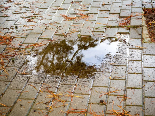 İnsanlar tarafından kullanılan kaldırımdaki çukurlar. HD resim