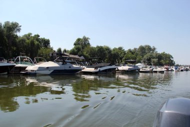 Sırbistan 'ın Voyvodina kentindeki Ribarac Adası' nda tekneli Tuna Nehri üzerindeki Novi Sad Marina