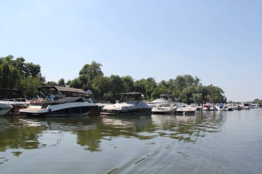 Sırbistan 'ın Voyvodina kentindeki Ribarac Adası' nda tekneli Tuna Nehri üzerindeki Novi Sad Marina