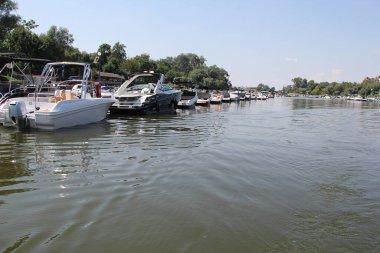 Sırbistan 'ın Voyvodina kentindeki Ribarac Adası' nda tekneli Tuna Nehri üzerindeki Novi Sad Marina