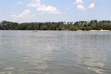 Sırbistan 'ın Voyvodina kentinde Novi Sad yakınlarındaki Tuna Nehri üzerindeki Koh Chang Adası