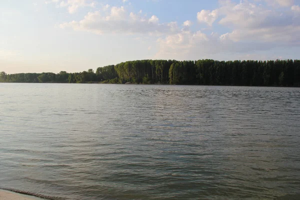 Naturaleza Río Danubio Voivodina Serbia Con Bosque — Foto de Stock