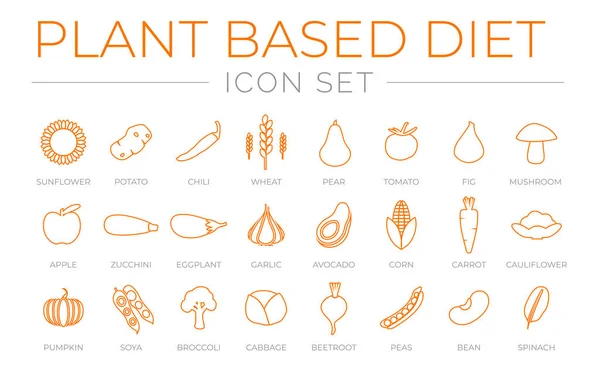 Stock vector Thin Outline Plant Based Diet Icon Set of Sunflower, Potato, Chilli, Wheat, Pear, Tomato, Fig, Mushroom, Apple, Zucchini, Eggplant, Garlic, Avocado, Corn, Carrot, Cauliflower, Pumpkin, Soya, Broccoli, Cabbage, Beetroot, Peas, Bean, Spinach Icons.