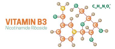 B3 vitamini Nicotinamide Riboside Molekül İllüstrasyonu