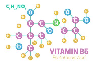 Pantothenic Acid Vitamin B5 Molekül Yapısı İllüstrasyon