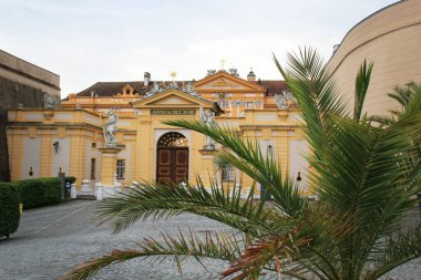 Melk, Avusturya - 21 Mayıs 2024: Stift Melk, Avusturya 'da Palmiye Ağacı Yakın