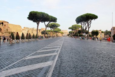 Roma, İtalya - 14 Eylül 2022: Via dei Fori Imperiali Yolu ve İtalya 'daki Kolezyum. Antik harabeleri, kaldırım taşları, Yürüyen İnsanlar ve Akdeniz Ağaçları olan güzel Roma Sokağı.