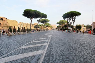 Rome, Italy - September 14 2022: Via dei Fori Imperiali Road and the Colosseum in Rome, Italy. Beautiful Roman Street with Ancient Ruins, Cobblestones, Walking People and Mediterranean Trees. clipart